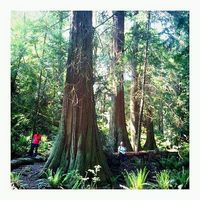 Uschi Schadauer's Photo