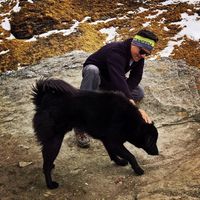 Le foto di Rajesh Jethwani