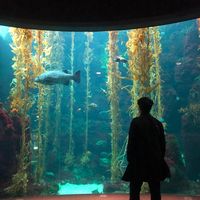 Joshua Mejía的照片