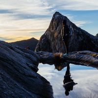 Zdjęcia użytkownika Dorothy Ma