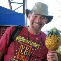 Howard Wolff的照片