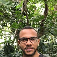 Fotos von Ilvan Junior