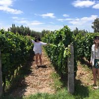 Hannah Chapman's Photo