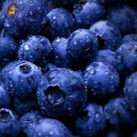 Anastasia Mykhailenko的照片