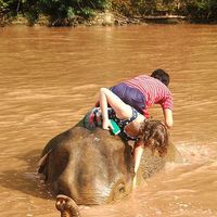 Christina McMellon的照片