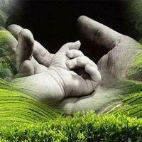 Le foto di Wae Umu-dee