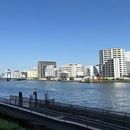 Walk Along the Beautiful Banks of the Sumida River's picture