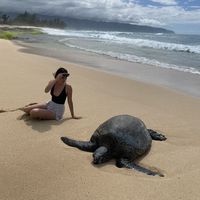 Natacha Schwal的照片