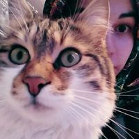 Saliha Budak's Photo