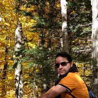 Fotos de Arash Rodkoli