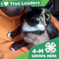 Tim  Deneke的照片