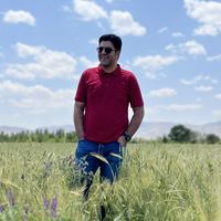 Mohammad Abedini's Photo