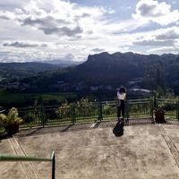 Rose Navarro's Photo