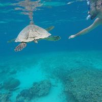 Fidan Blaca的照片