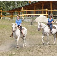 Fotos de John Fortin