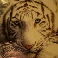 Marlena Kostrubiec's Photo