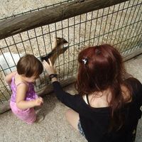 Photos de Electraki Lel