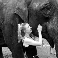 Fotos de Cara McGlue