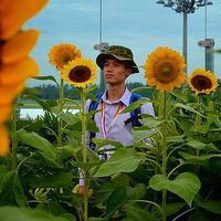 Sher Jie Lim的照片