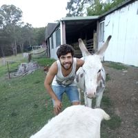 Fotos von Artur Smoqi