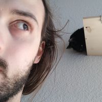 Norman Köhring's Photo