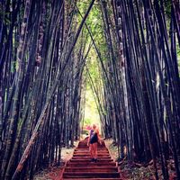 Photos de Eema Lemma