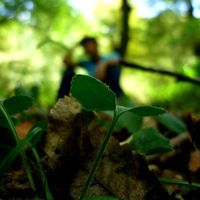 Cavid Isgenderli的照片