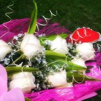 Fotos von Vt Singson