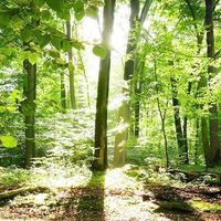 Photos de Hachemi Kaou