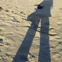 Kristin Warkentin's Photo