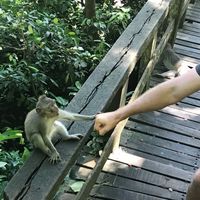 Ryan Clifford's Photo