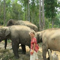 Fotos de Jennifer Jarvi