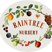 Raintree Nursery's Photo