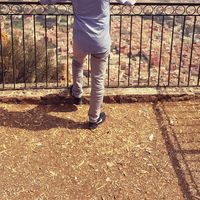 Adam Marzouk的照片