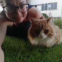 Photos de Laura Pfirt