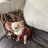 suleyman demir's Photo