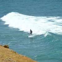 Cameron Adam的照片