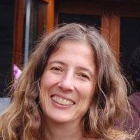 Dolit Gliksman的照片