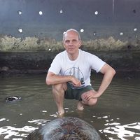 Andreas Ohle's Photo