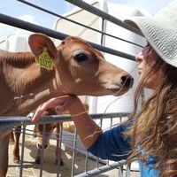 stephanie sch的照片