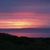 Michael Mcgowan's Photo