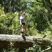 Bonnie Collins's Photo