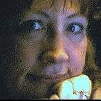 Sandi Erickson的照片