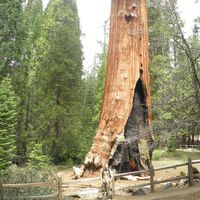 Gabriel Chicago的照片