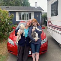 NAVILLUSENNA's Photo