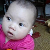 Le foto di Đinh Huy