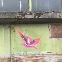 Svetlana Bojic的照片