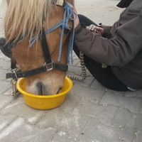 Fotos de Sophia Blank