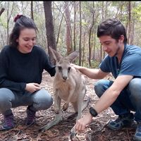 eric cuevas trigo的照片