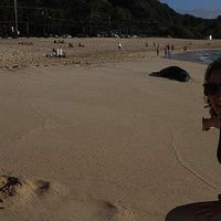 Nicole Doth的照片